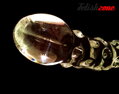 Skleněné dildo Crystal Circus